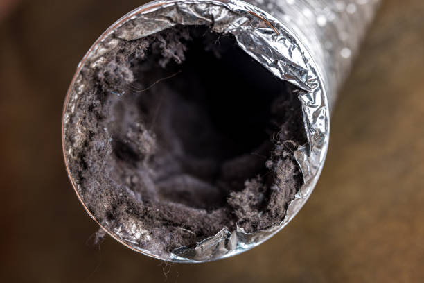 Best Dryer Vent Cleaning Services  in Dalton, PA